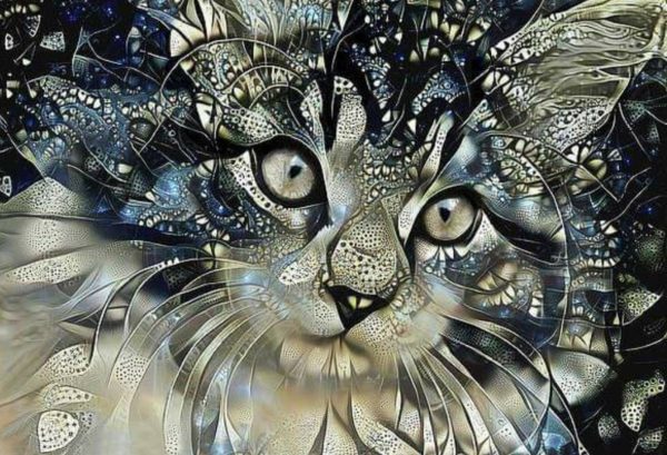 Kitten Abstract - Full Drill Diamond Painting - Specially ordered for you. Delivery is approximately 4 - 6 weeks. For Discount