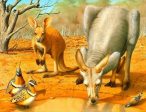 Kangaroos- Full Drill Diamond Painting - Specially ordered for you. Delivery is approximately 4 - 6 weeks. Supply