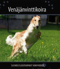 Venäjänvinttikoira Hot on Sale