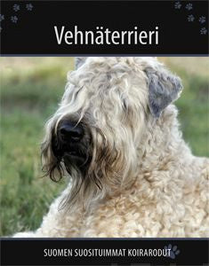 Vehnäterrieri Online Sale