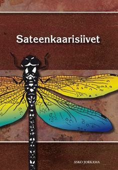 Sateenkaarisiivet For Cheap